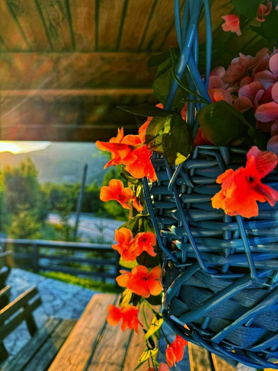 Kozak Apartments & Restaurant モイコヴァツ エクステリア 写真